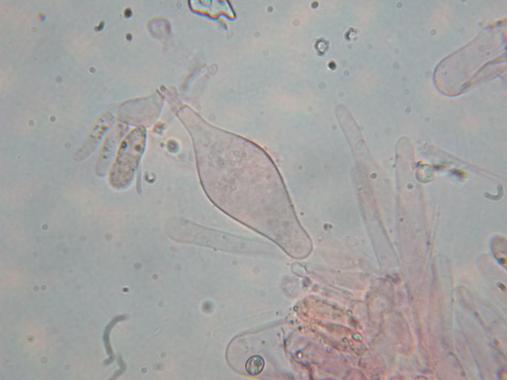 Oggi N�4... 12 Giugno 2010